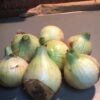 Thumbnail of related posts 177