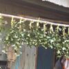 Thumbnail of related posts 069