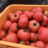 Thumbnail of related posts 053