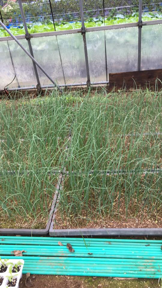 Thumbnail of post image 124