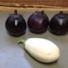 Thumbnail of related posts 193