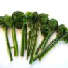 Thumbnail of related posts 077