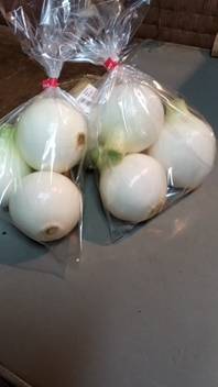 Thumbnail of post image 021