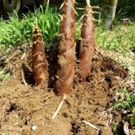 Thumbnail of related posts 072