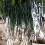 Thumbnail of related posts 164