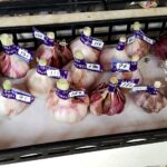 Thumbnail of related posts 167