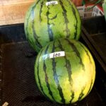 Thumbnail of related posts 120