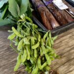 Thumbnail of related posts 043