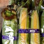 Thumbnail of related posts 058