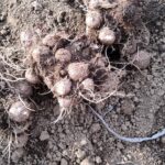 Thumbnail of related posts 071