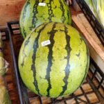 Thumbnail of related posts 139
