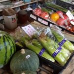 Thumbnail of new posts 171